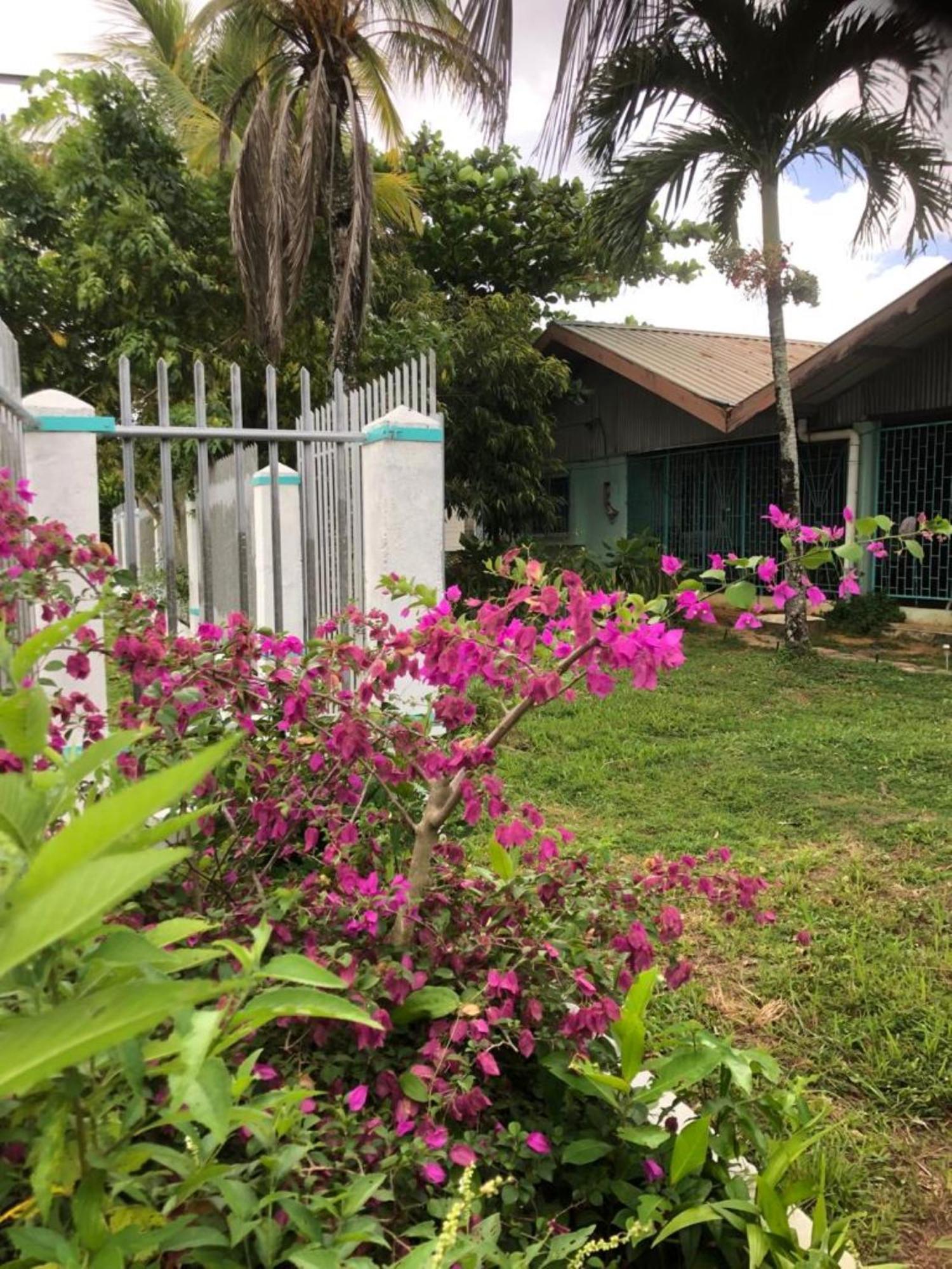 Unu Pikin Guesthouse Paramaribo Exteriör bild