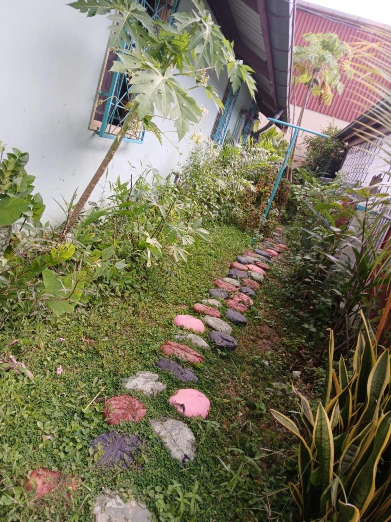 Unu Pikin Guesthouse Paramaribo Exteriör bild